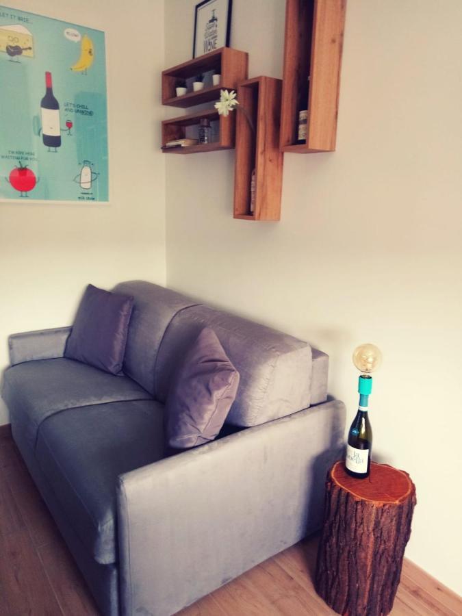 Vinhome Bilocale Con Garage Privato Alba Centro Kültér fotó